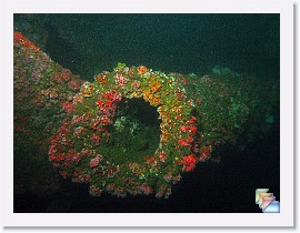 2007-09-03 Wrecks-Ace1-Olympic * (38 Slides)